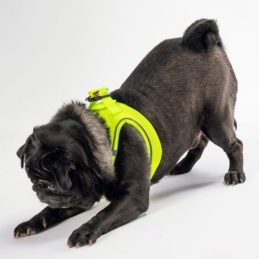 Neon Yellow Air-mesh